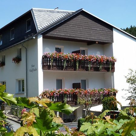 Pension Haus Waldfrieden, Meinecardplus Inklusive Willingen (Upland) Exterior foto