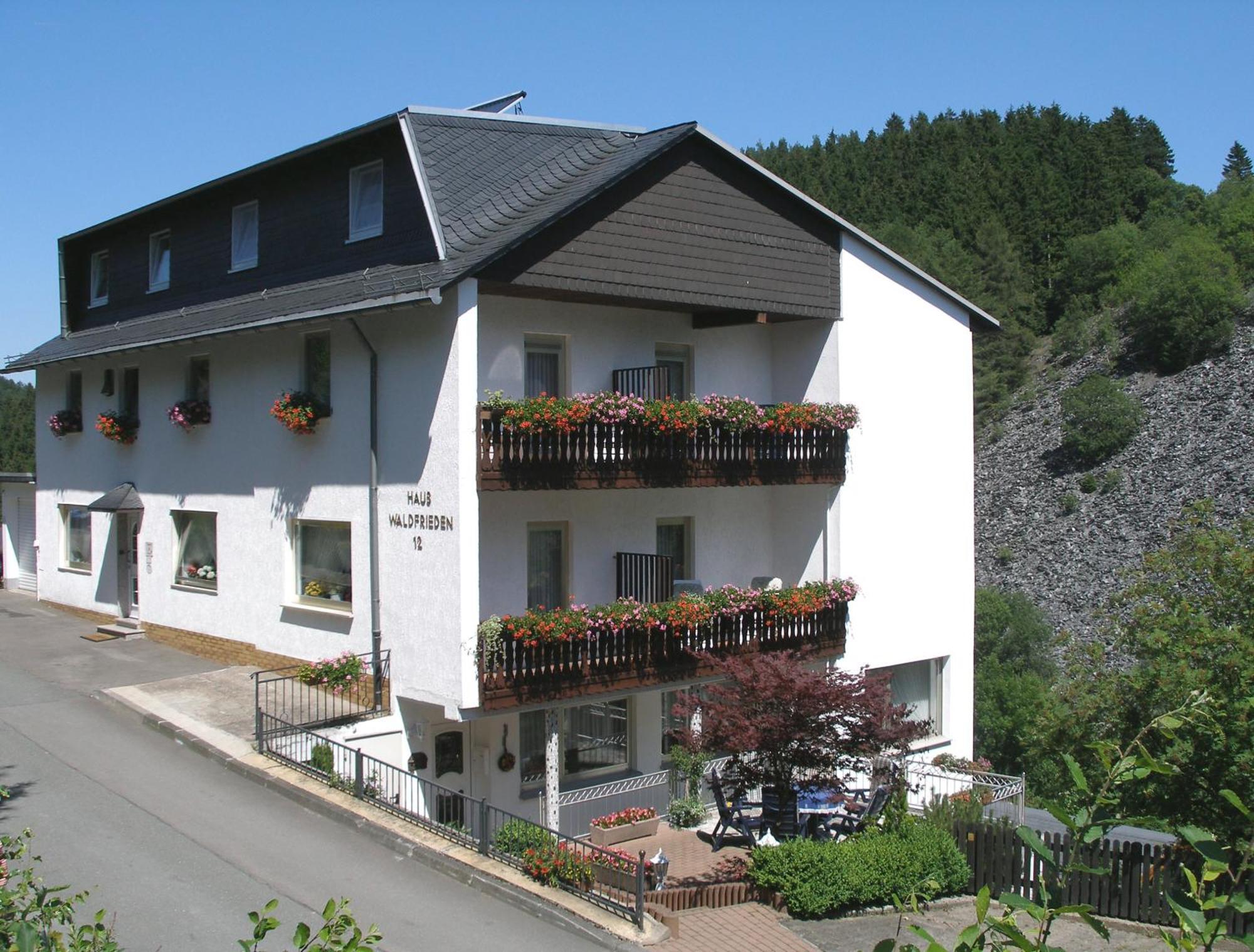 Pension Haus Waldfrieden, Meinecardplus Inklusive Willingen (Upland) Exterior foto