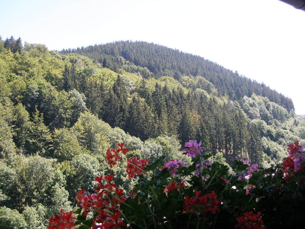 Pension Haus Waldfrieden, Meinecardplus Inklusive Willingen (Upland) Exterior foto