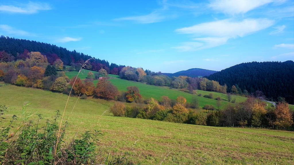 Pension Haus Waldfrieden, Meinecardplus Inklusive Willingen (Upland) Exterior foto