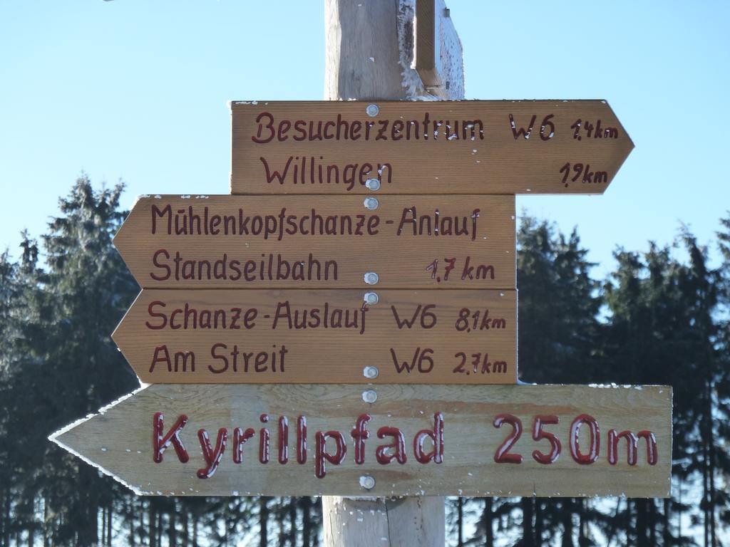 Pension Haus Waldfrieden, Meinecardplus Inklusive Willingen (Upland) Exterior foto