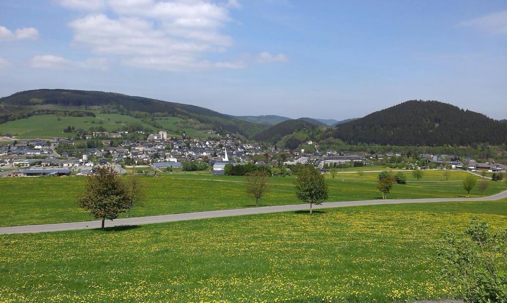 Pension Haus Waldfrieden, Meinecardplus Inklusive Willingen (Upland) Exterior foto