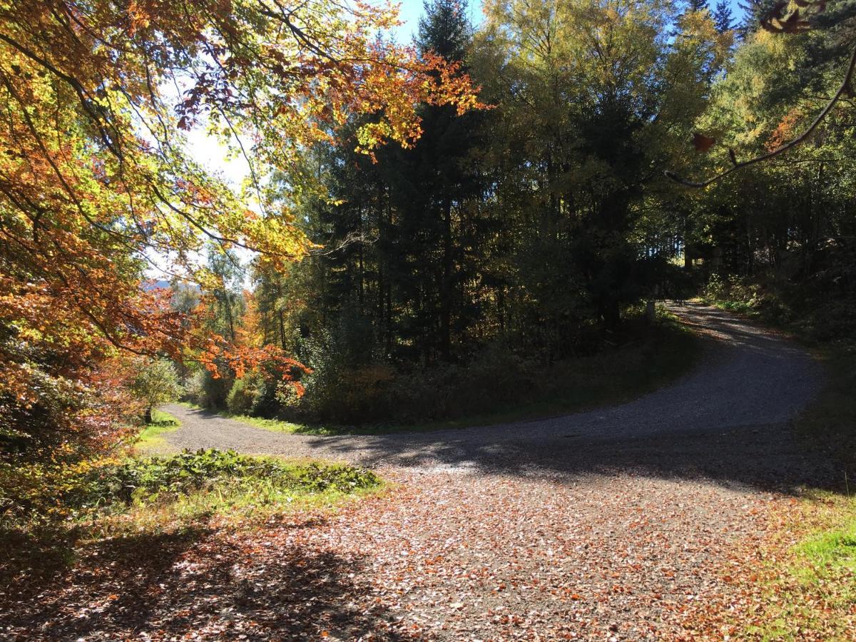 Pension Haus Waldfrieden, Meinecardplus Inklusive Willingen (Upland) Exterior foto